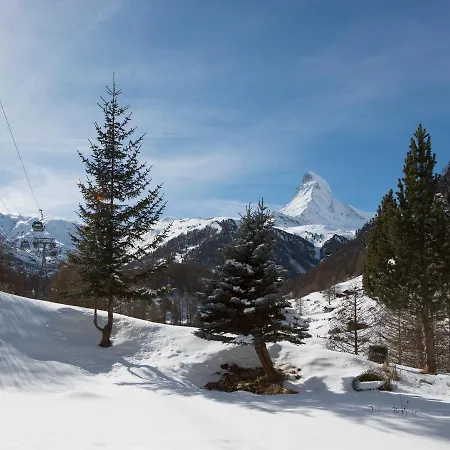 Plateau Rosa 3*